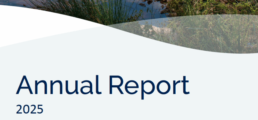 Annual Report 2025