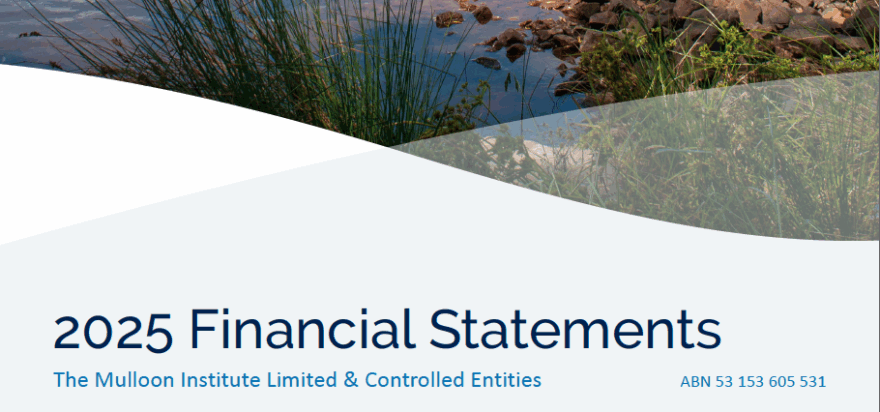 Financial Statements 2025