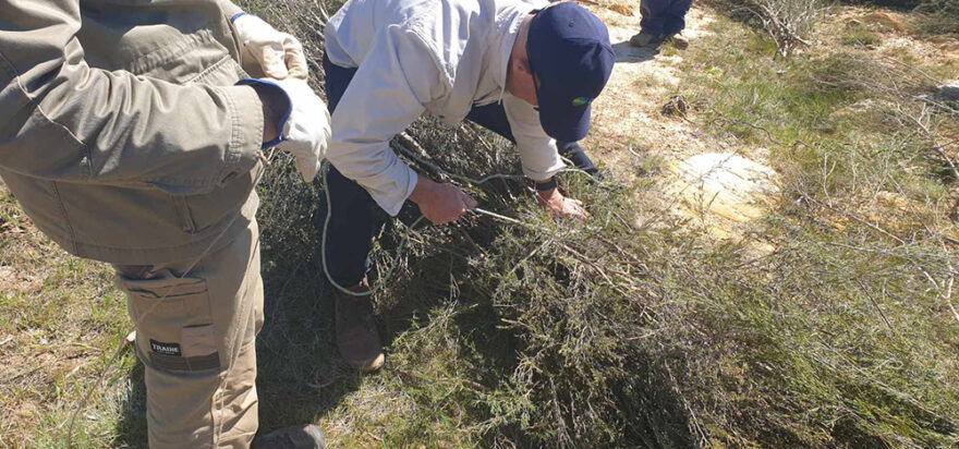 Community comes together to restore the Molonglo River