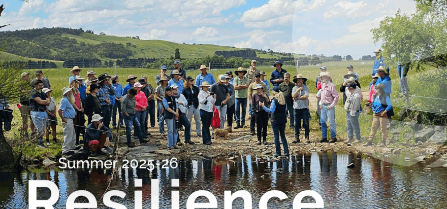 Resilience – Summer 2025–26 🌞