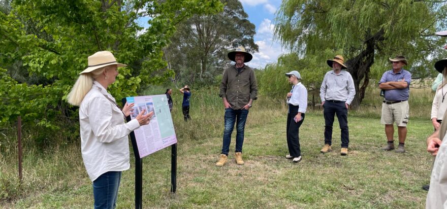 Nature-based water solutions on show at Mulloon