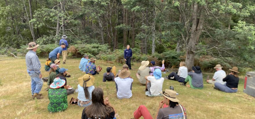 Mulloon Consulting autumn report