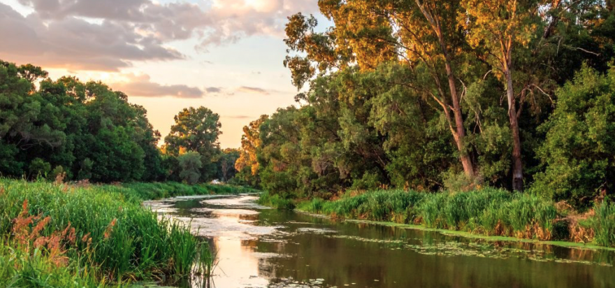 Basin SCALE Declaration webinar available to view