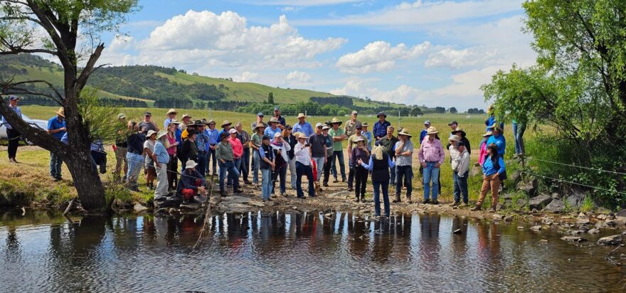 Announcing phase three of the Mulloon Rehydration Initiative