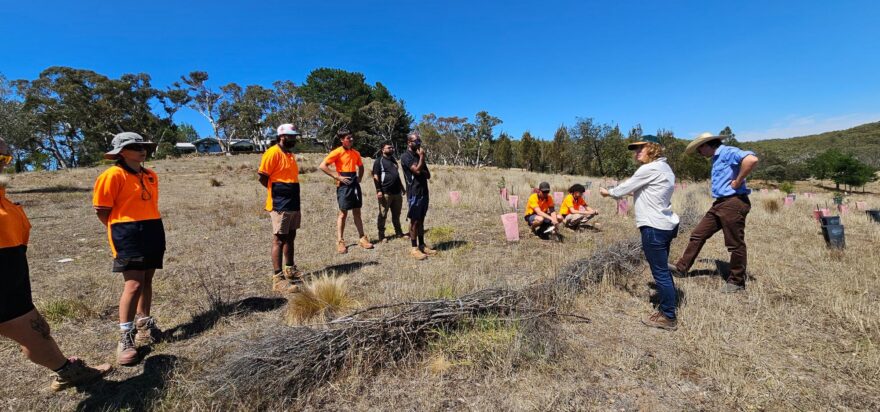 Latest news from the Science & Monitoring team