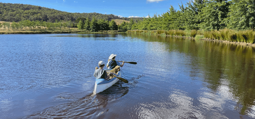 Autumn update from the Chair 🍁