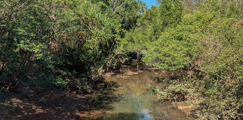 Assessing creek lines into Darwin Harbour