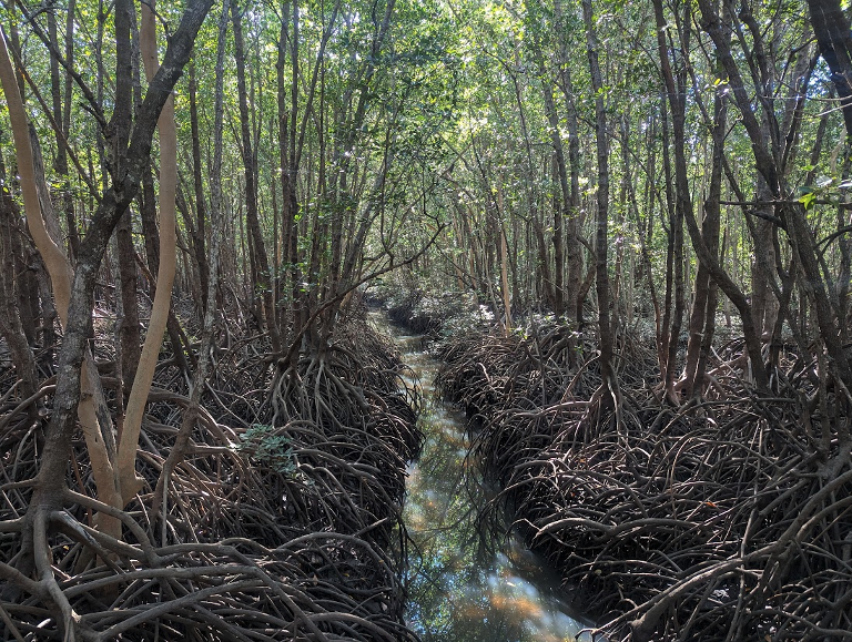 Mulloon Institute Image