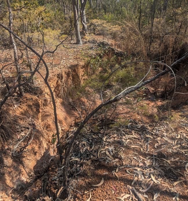 Mulloon Institute Image