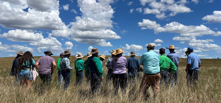 Reading the landscapes at Kentucky Creek