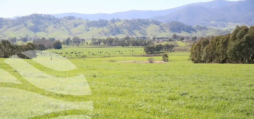 Landscape Rehydration Workshop – Kiewa Valley, VIC
