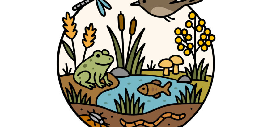 The latest LiFT news