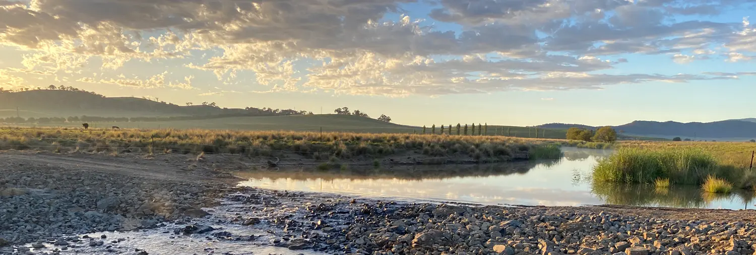 Molonglo Catchment Rehydration Initiative
