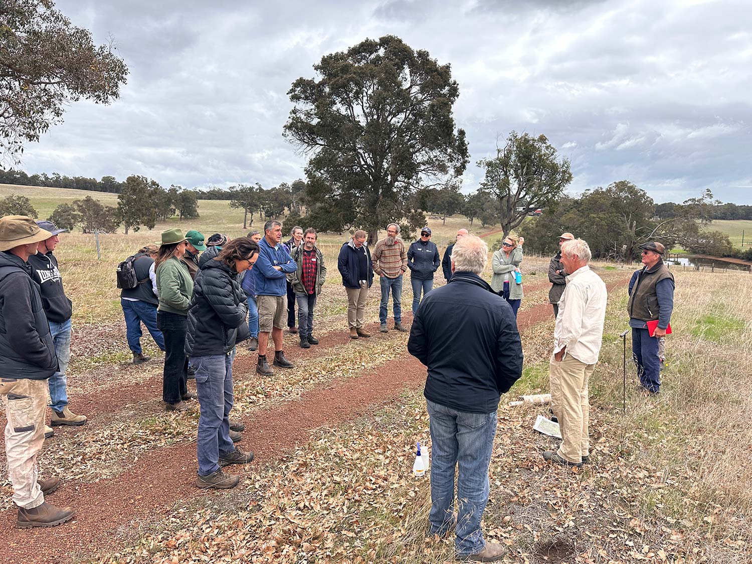 Learning to read landscape water and associated processes