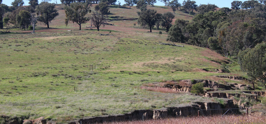 Landscape Rehydration Field Day – Kyeamba Valley, NSW