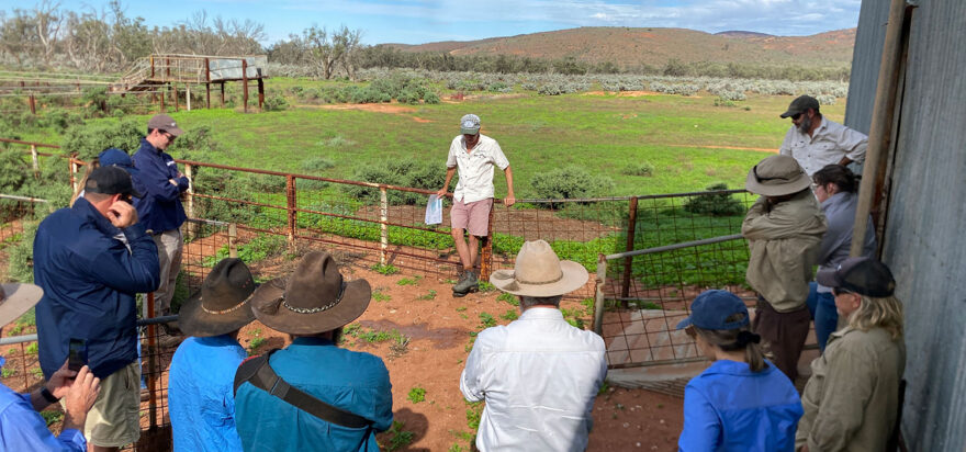 SA Arid Rangelands Bootcamp in Hiltaba