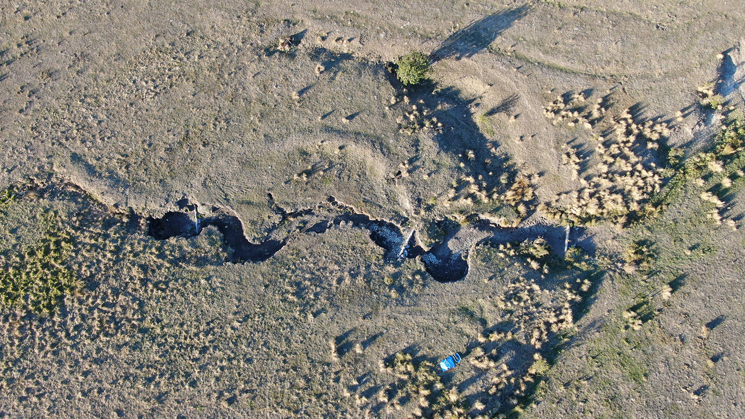 Description of the image