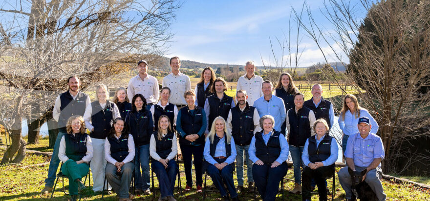 Resilience eNews Winter 2026 ❄️