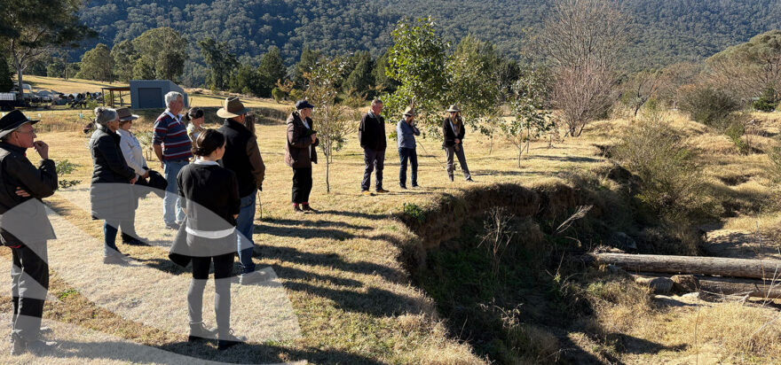 Landscape Rehydration Bootcamp – Araluen, NSW