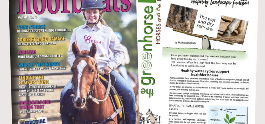 Restoring landscape function on your horse property