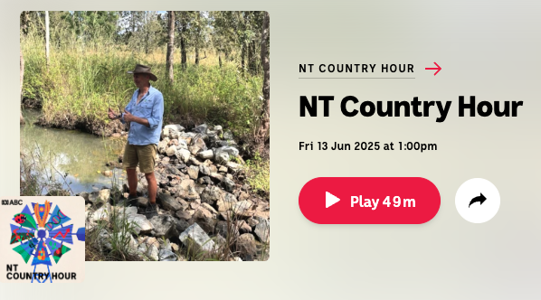 Old Cameron Downs – NT Country Hour