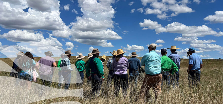 Landscape Rehydration Field Day – Collector, NSW
