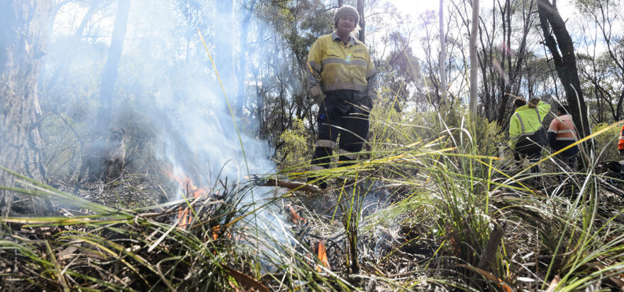 Cultural burns, biochar & landscape rehydration